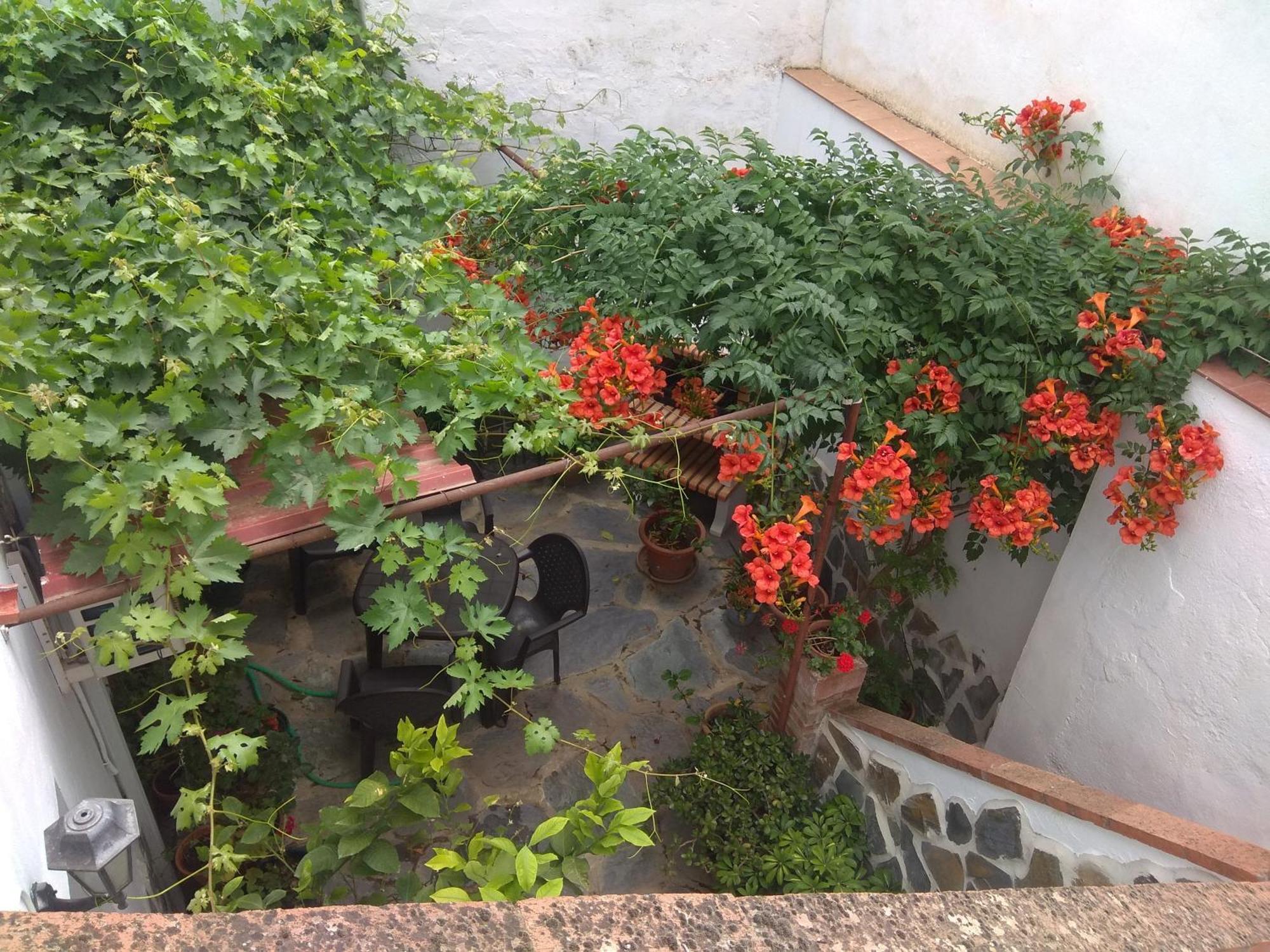 El Regocijo Apartment Oliva de la Frontera Екстериор снимка